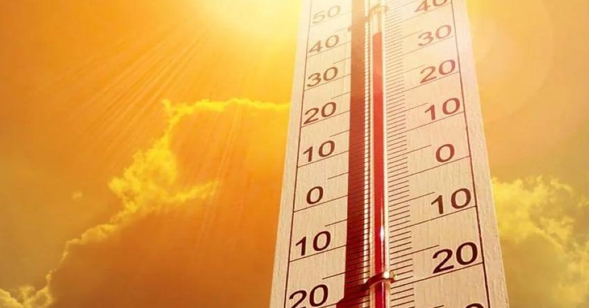 2023 hottest year on record as Earth nears 1.5C limit