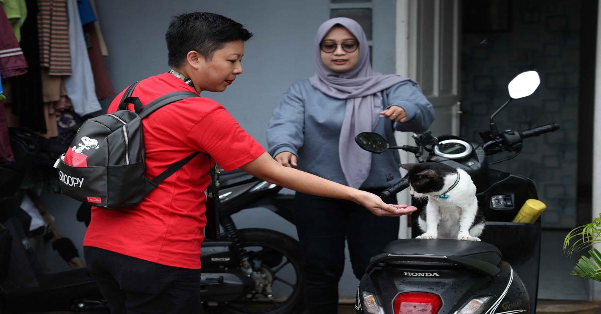 Animal rights take center stage in Indonesia's elections