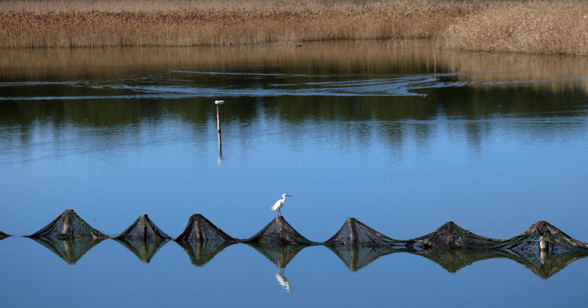Global warming alters ecological landscape of Albania's Vain Lagoon