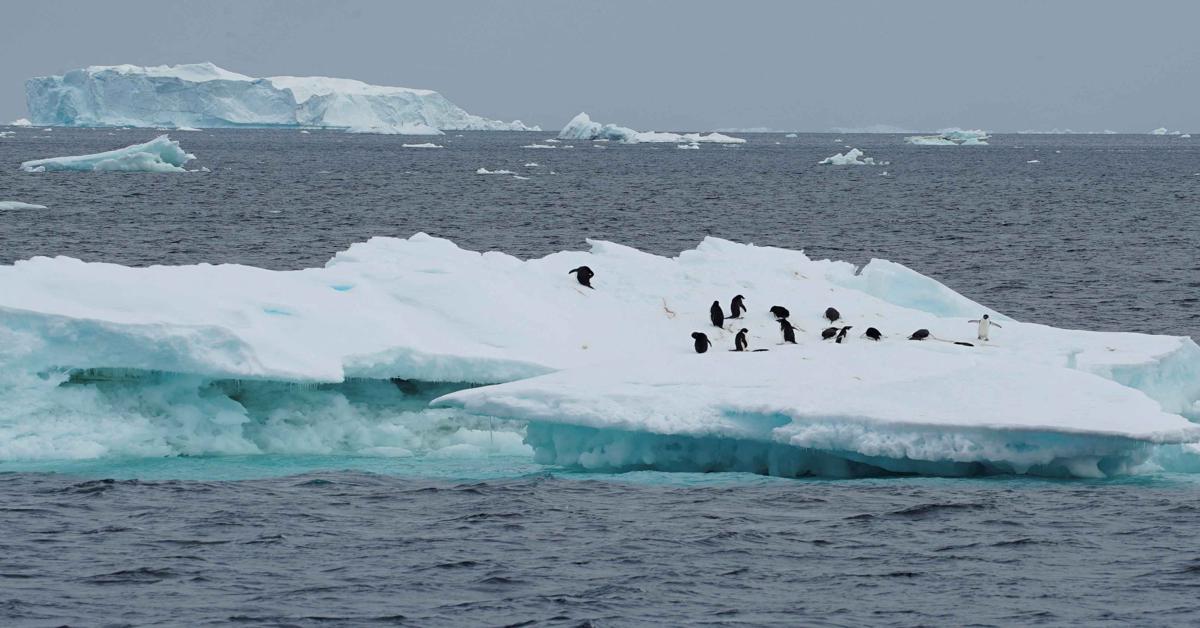 Ice losses contribute to future global sea-level rise