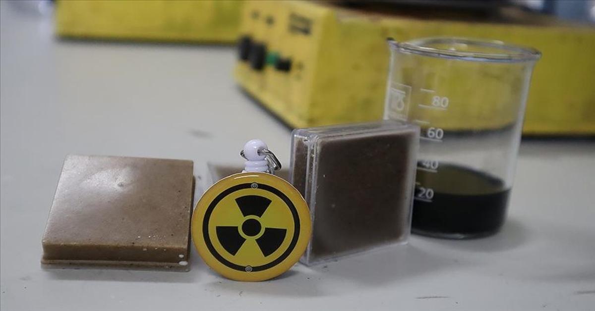 Researchers invent radiation shield made from sweetwater crab shells