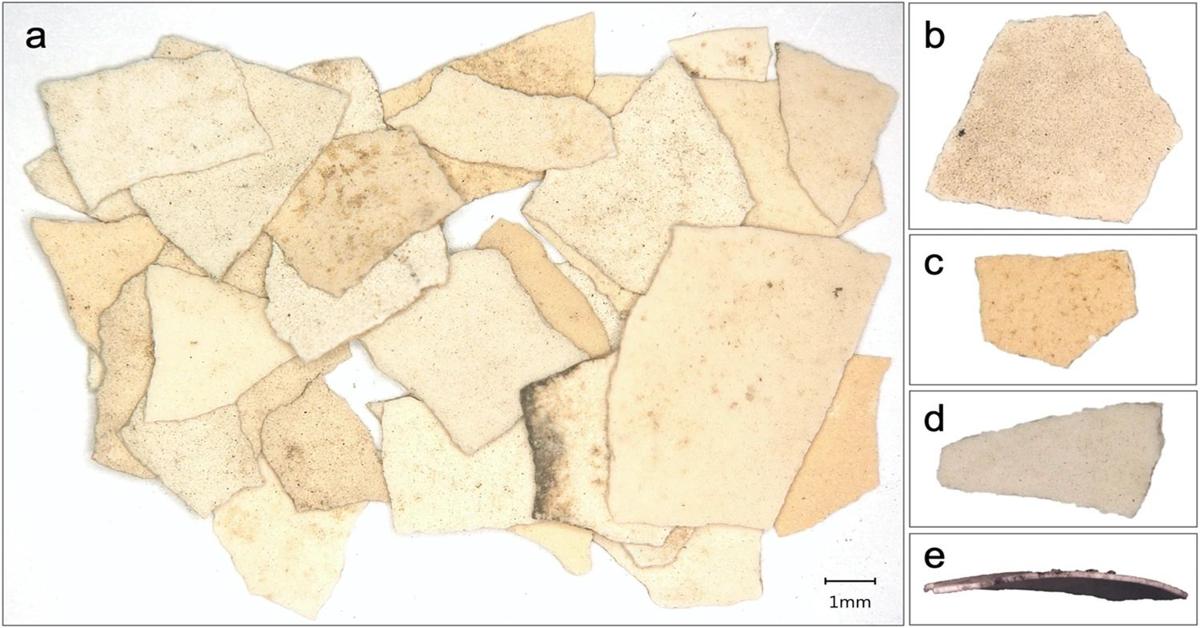 Scientists unearth oldest evidence for chicken egg production