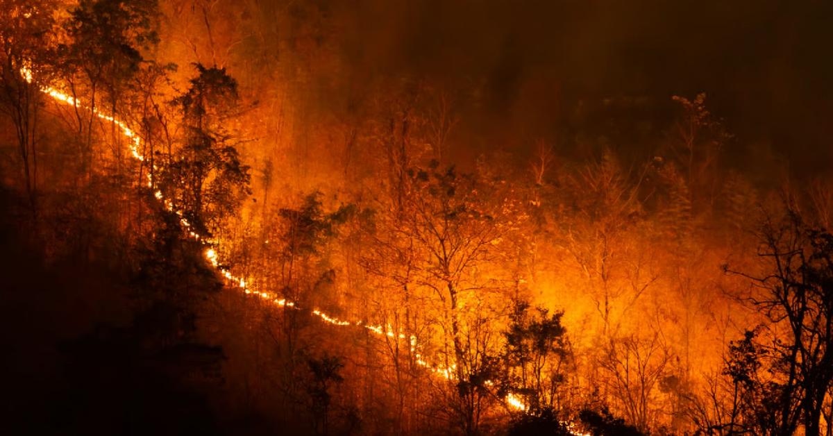 World experiences first 12 months with temperatures above 1.5C
