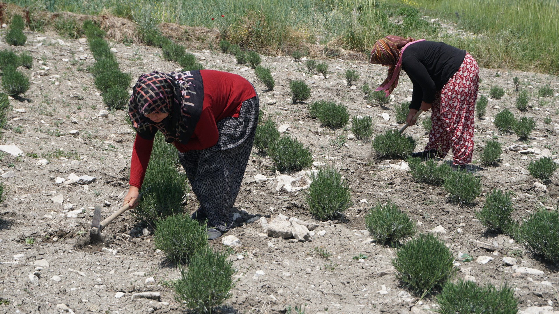 Türkiye maintains its position among worst for workers' rights in 2024