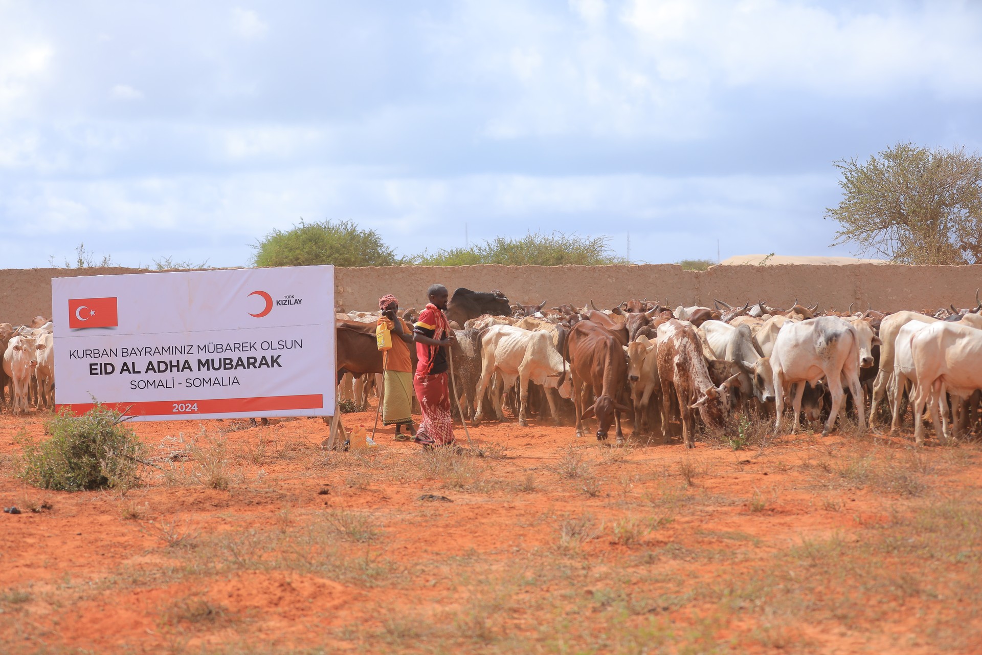Turkish Red Crescent's Eid al-Adha Campaign reaches Iraq, Niger, and Bosnia