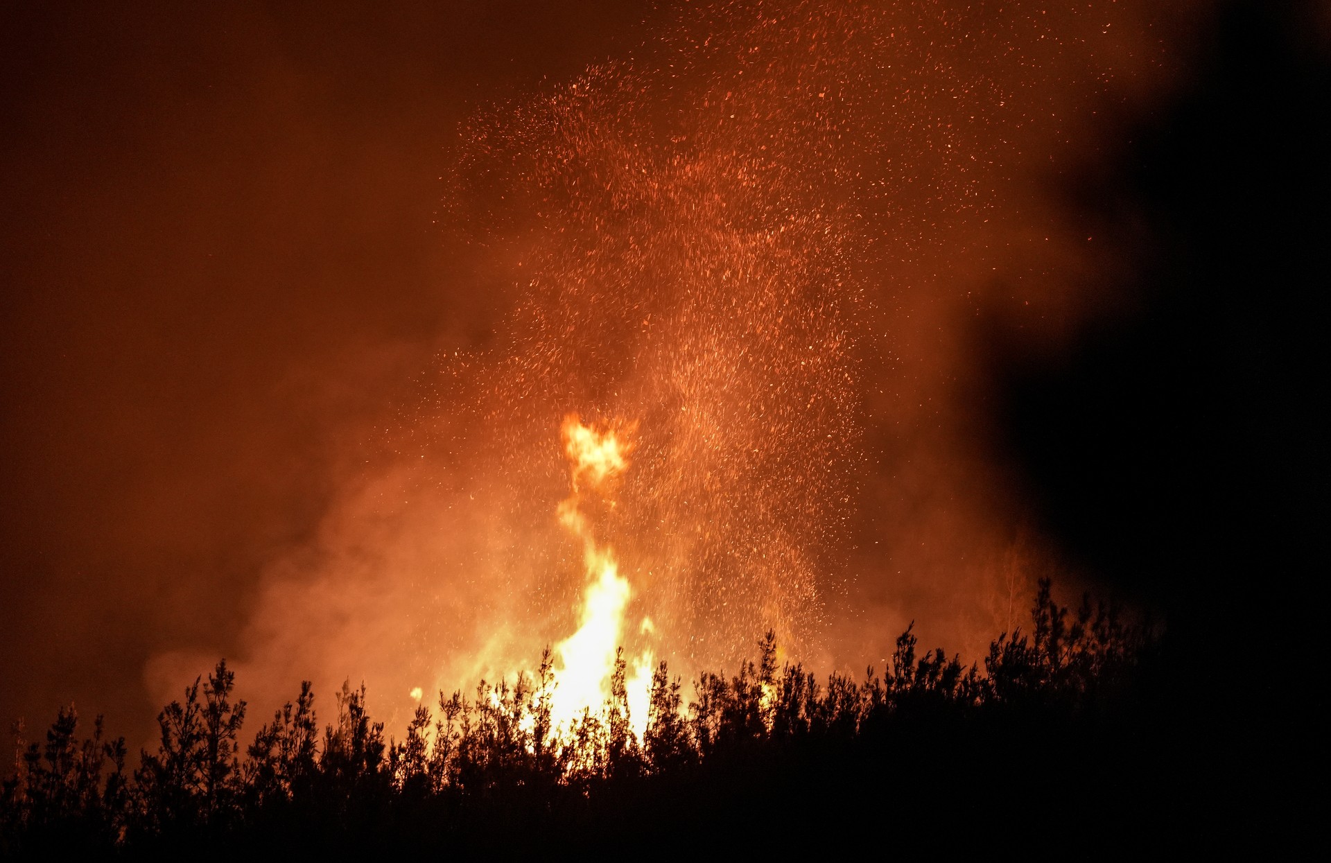 Wildfires in Türkiye, Greece spark tourist concerns, security measures taken