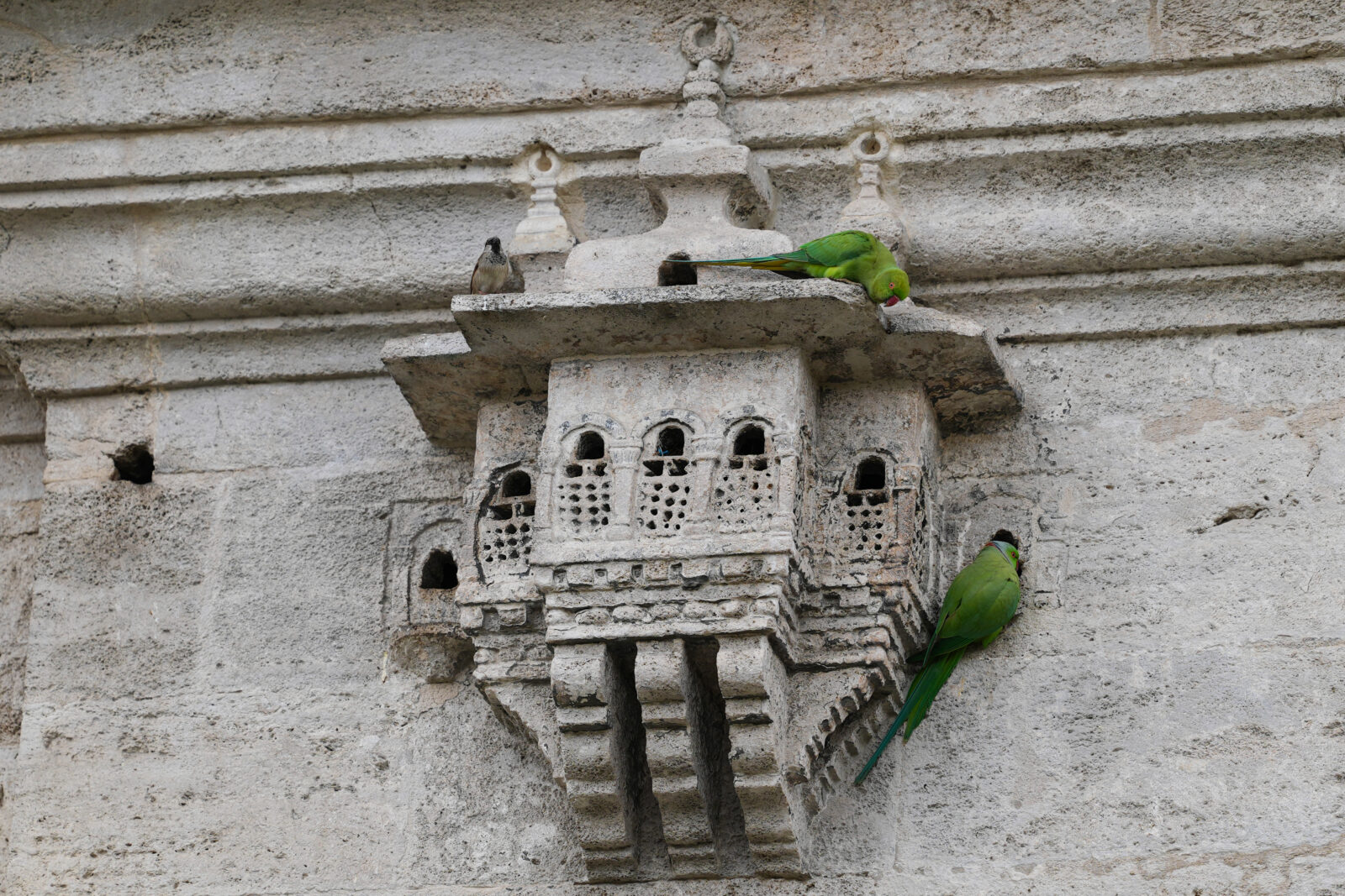 Ottoman bird palaces: Combining compassion for animals and elegant architecture