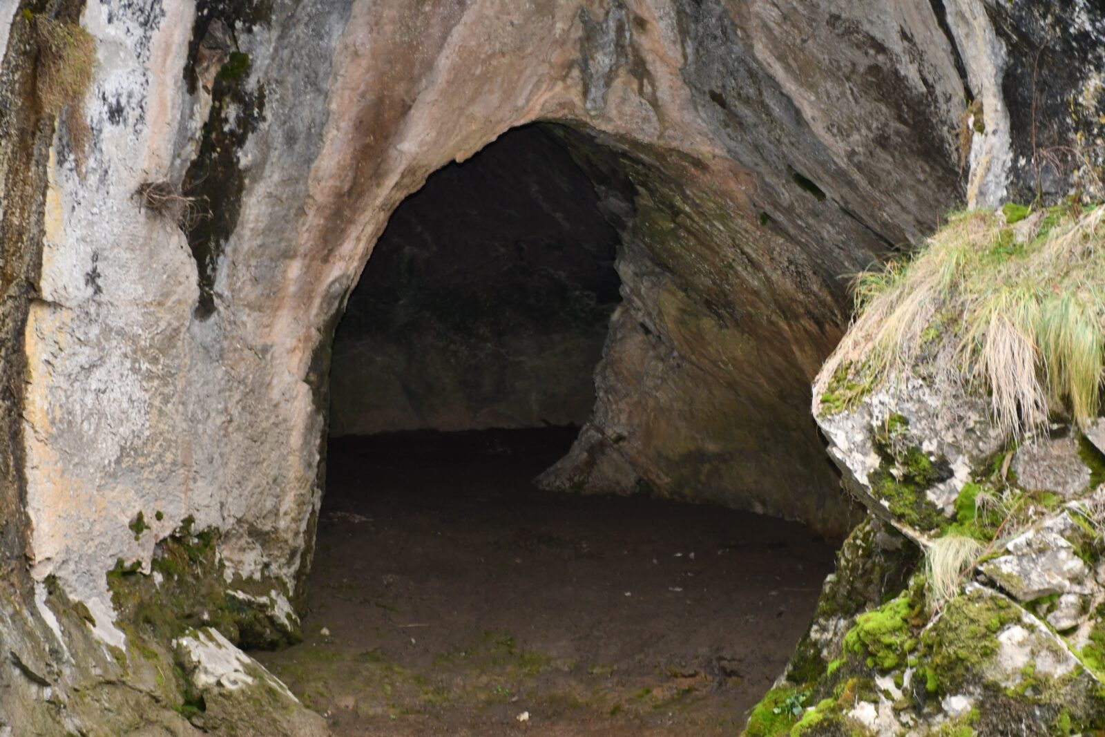 Potential underground city discovered in Türkiye's Black Sea region