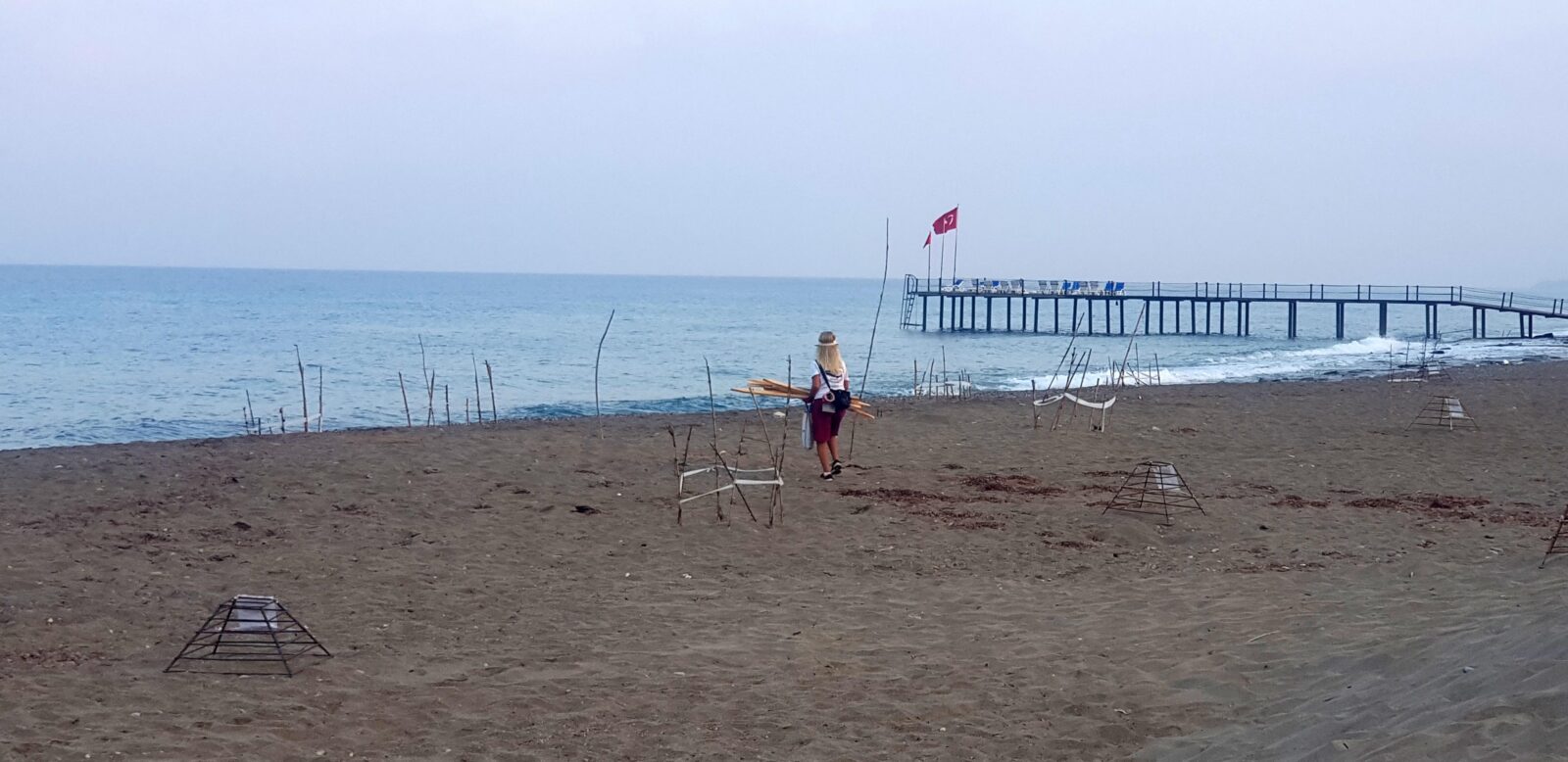 Record-breaking sea turtle nests, giant caretta caretta tracks in Türkiye