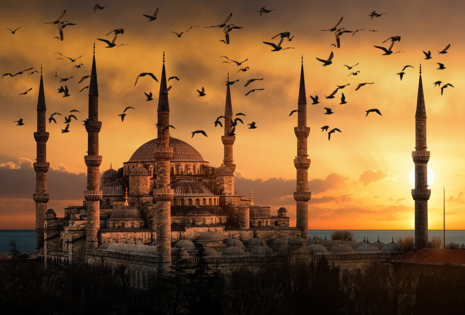 Ottoman bird palaces: Combining compassion for animals and elegant architecture