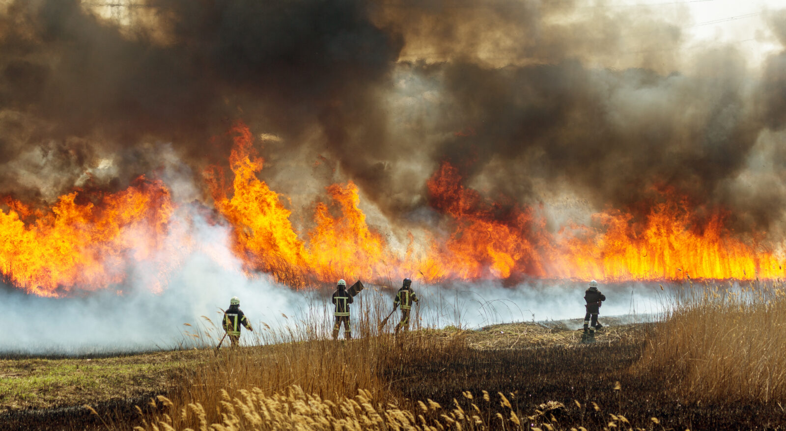 Guide on what to do as devastating wildfires ravage Türkiye's coastal regions