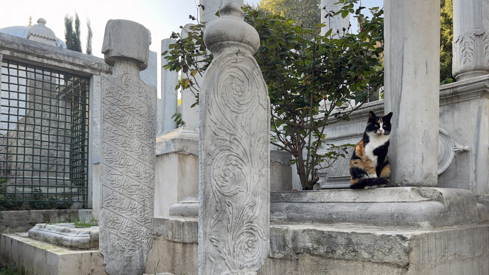 Ottoman bird palaces: Combining compassion for animals and elegant architecture