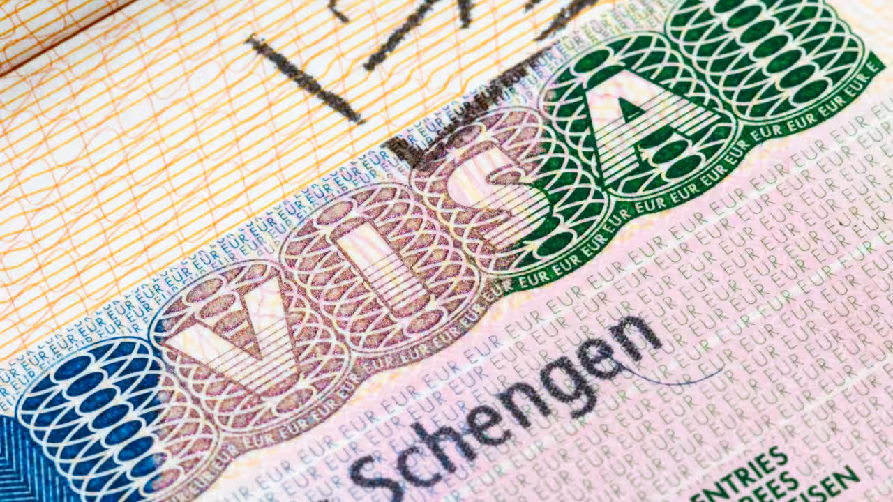 EU makes millions off rejected visas in Türkiye, Africa