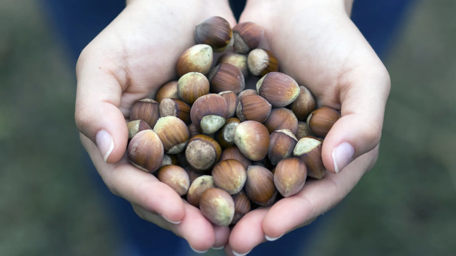 7 unique local Turkish delicacies join global network