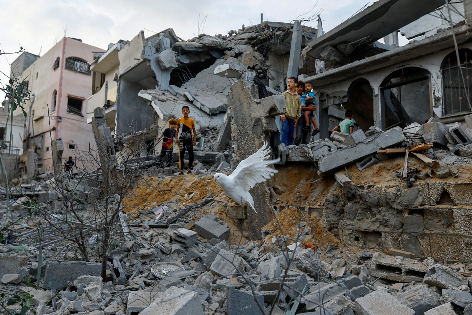 Palestine’s never-ending nightmare even during Eid festivities
