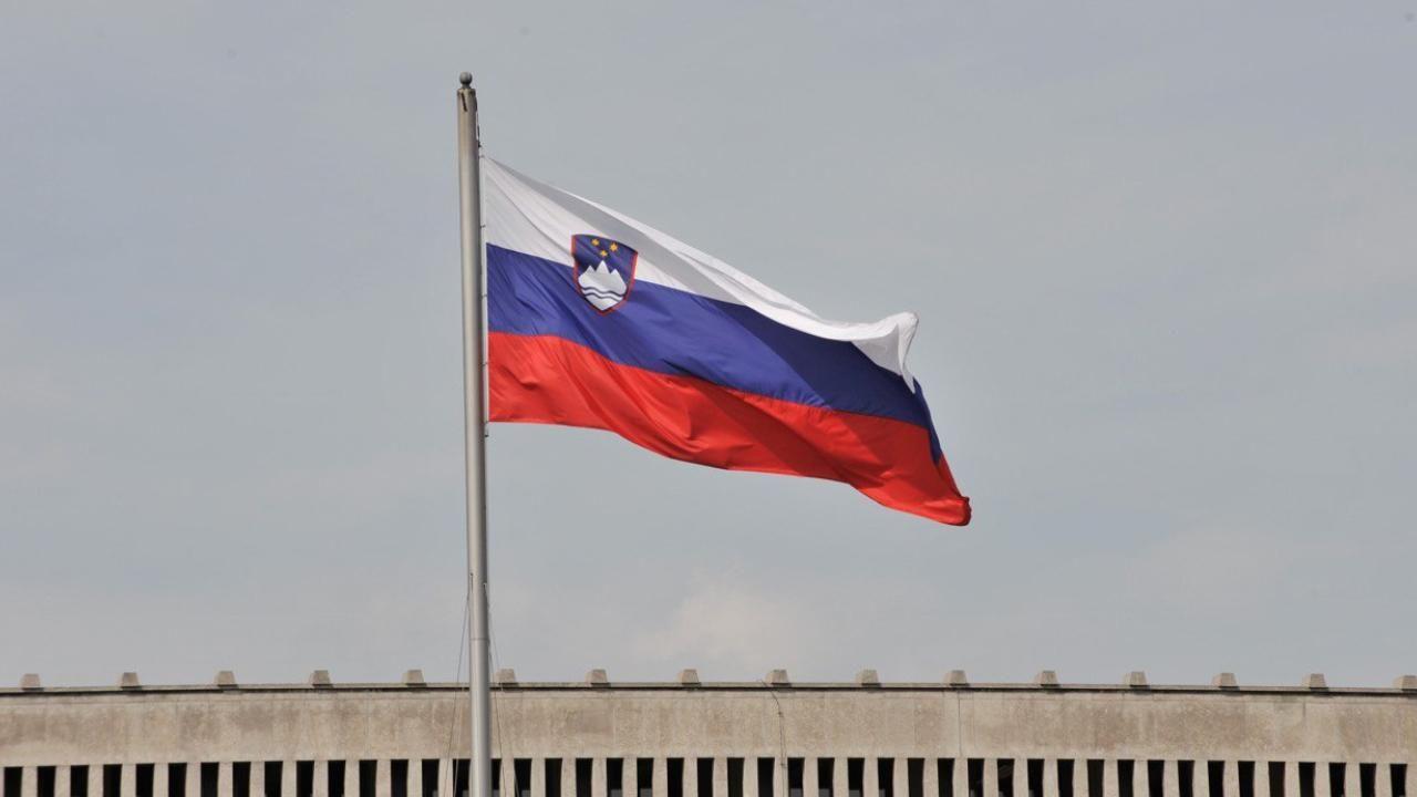Slovenia's main opposition calls for referendum on Palestinian State recognition