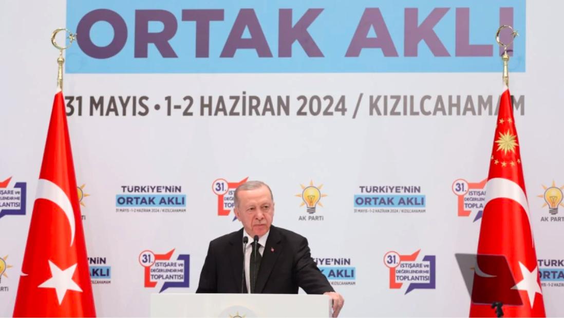 Türkiye leads response to Gaza massacre