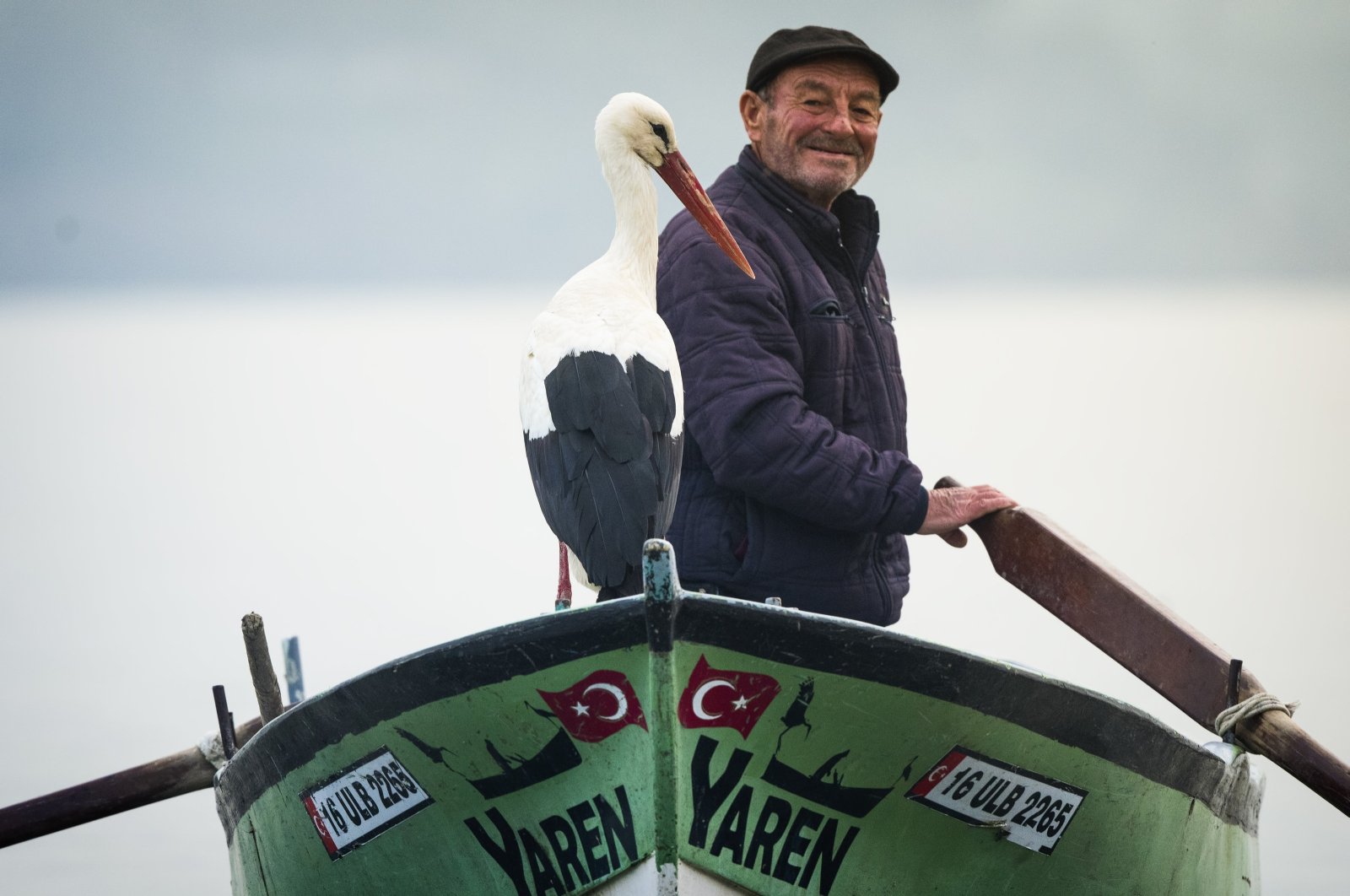Successful rescue of Turkish fisherman's stork-friend, Yaren's chick