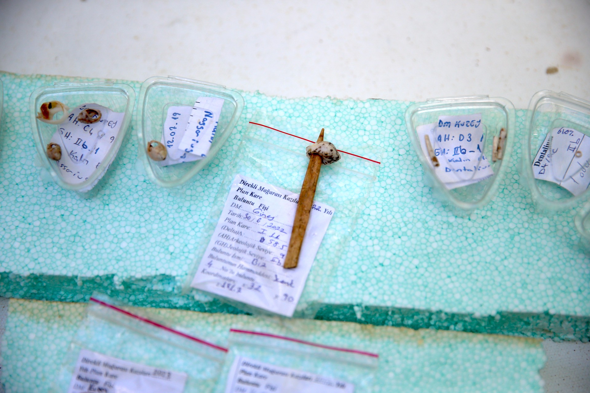 Ancient sewing tools unearthed in Türkiye reveal 13,000 years of textile history