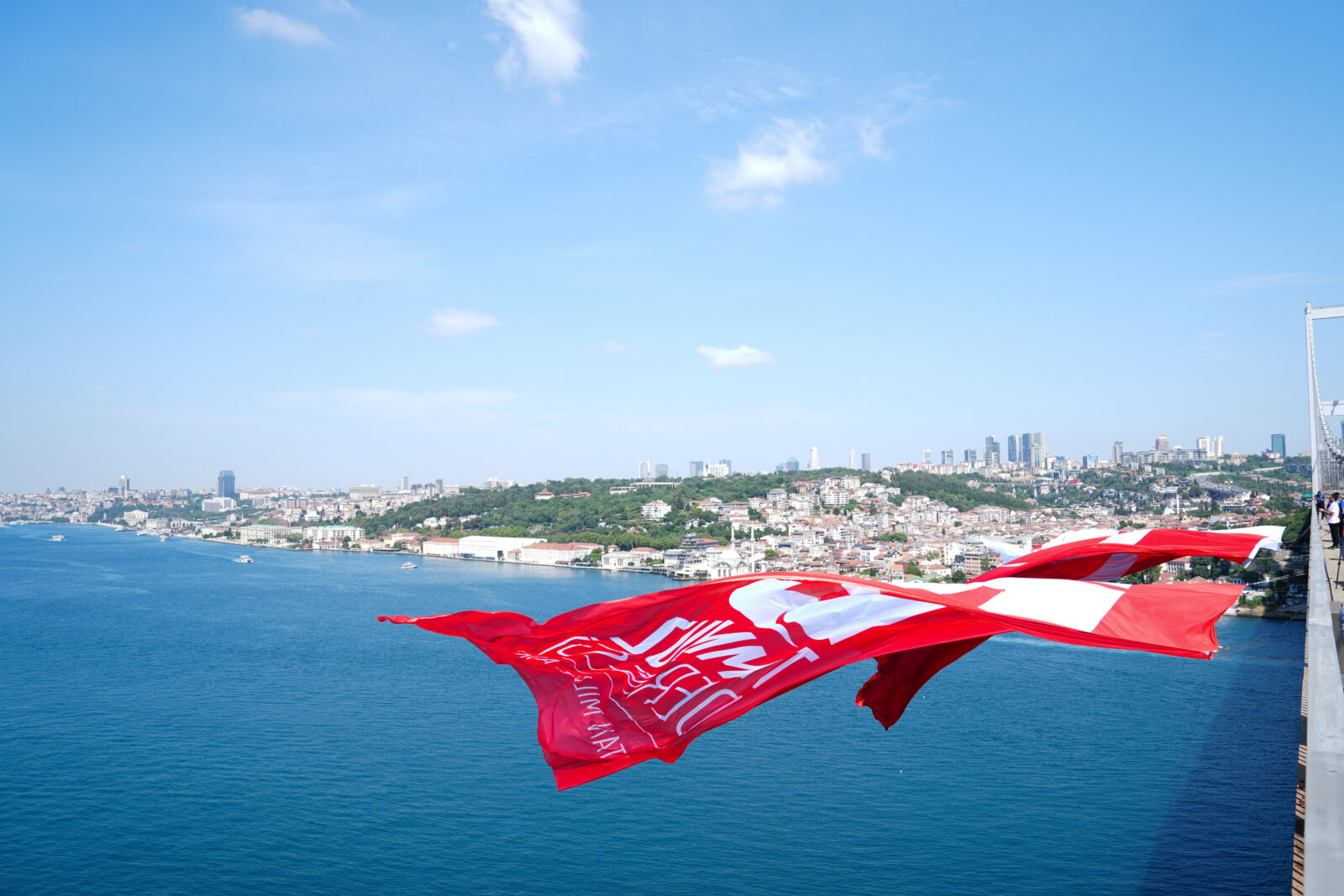 Flags in Türkiye
