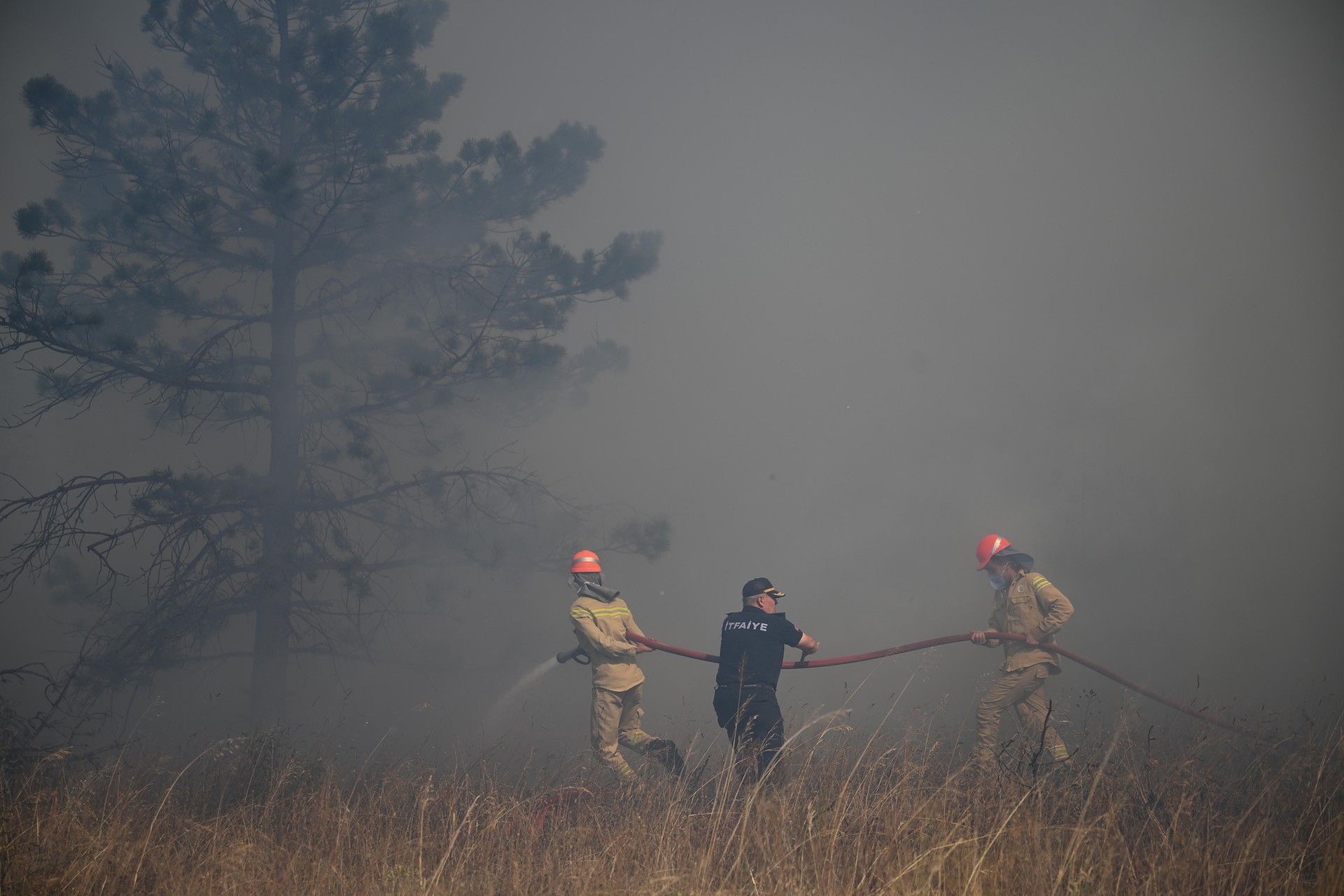 Bulgaria's president praises Türkiye for assistance in battling fires