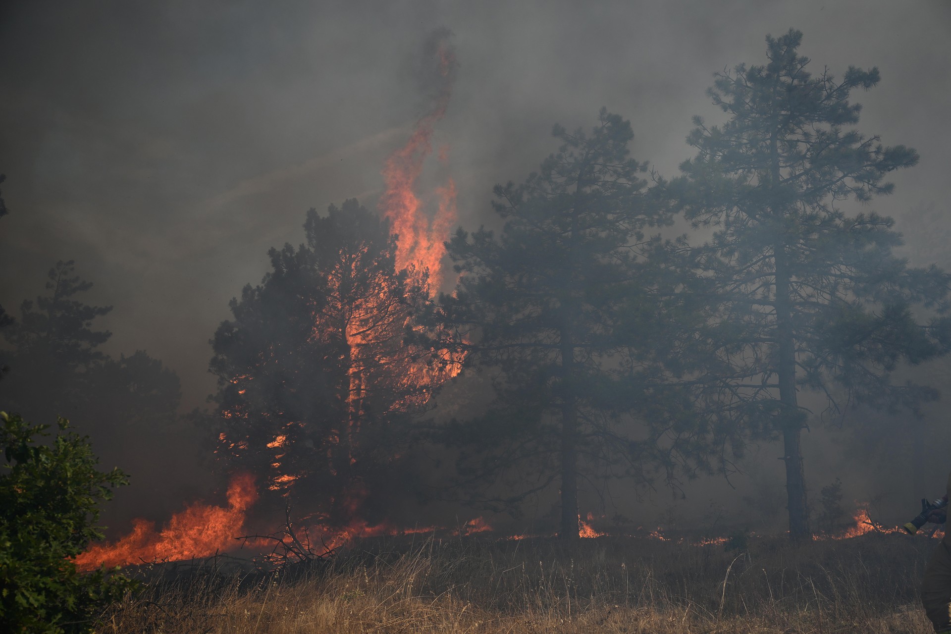 Thousands of hectares burn in massive fire in South-Central Bulgaria