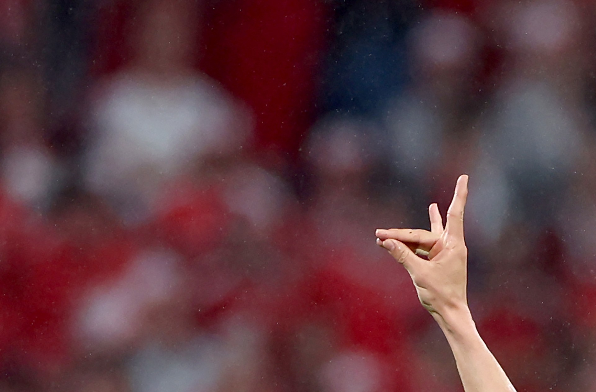 Türkiye summons German Ambassador amid Euro 2024 gesture controversy
