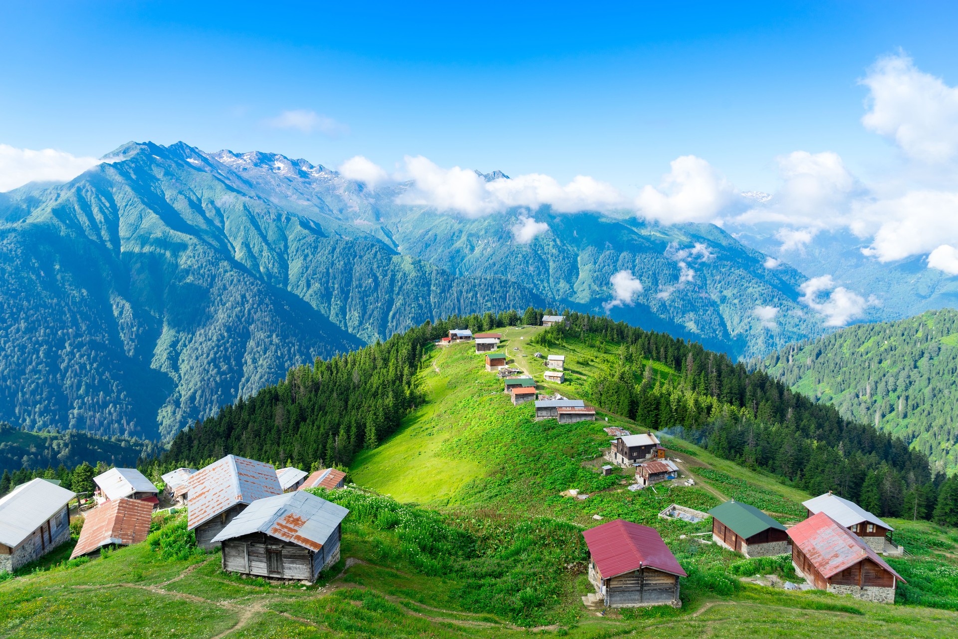 Wildlife in Türkiye: Guide to explore its natural wonders, unique species