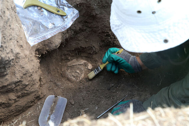 Excavations continue at monumental structure found at the site of the Battle of Manzikert, Mus, Türkiye, July 18, 2024. (AA Photo)