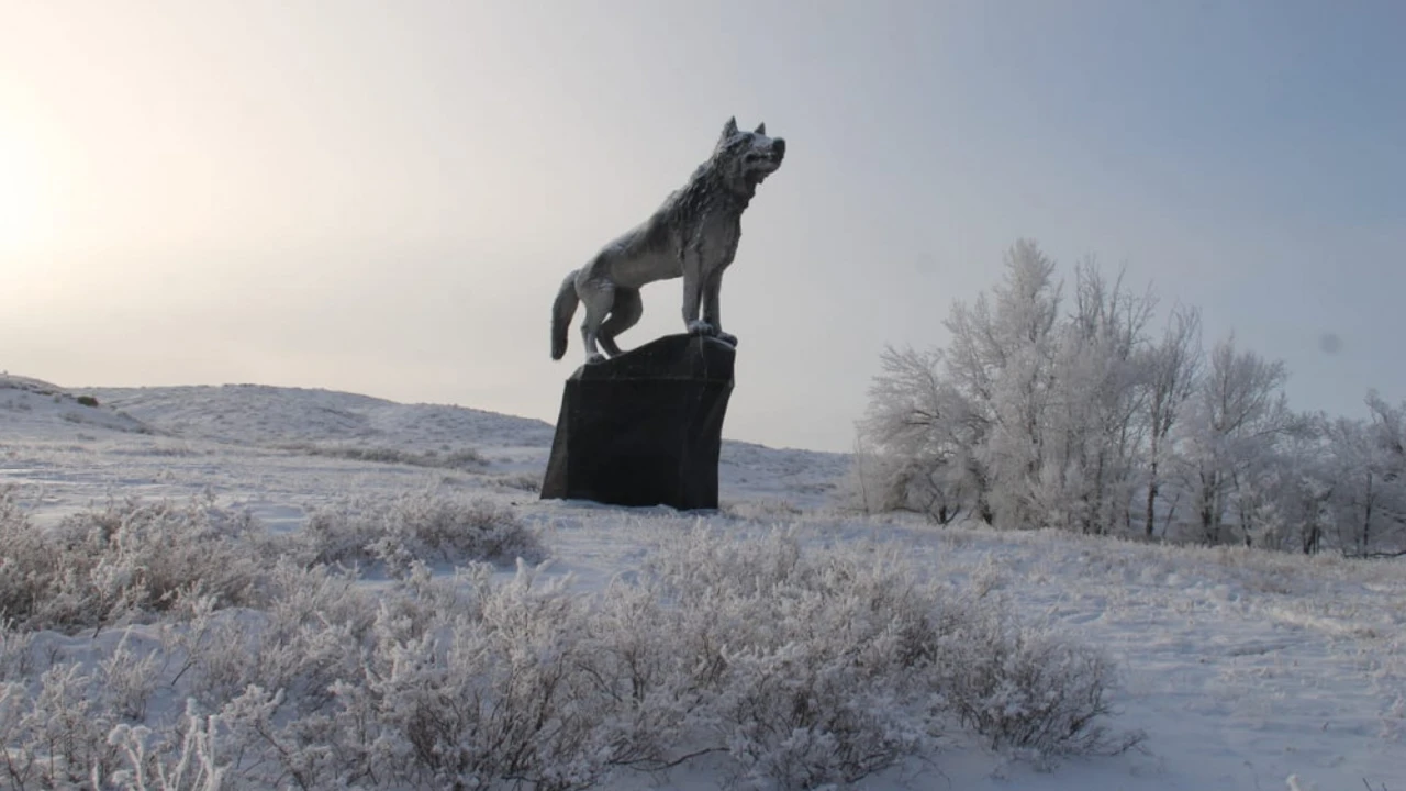 Gray wolf: Sacred symbol in Turkish and Roman mythology