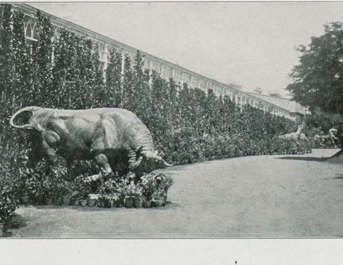 All you need to know about Kadikoy's Bull Statue in Istanbul