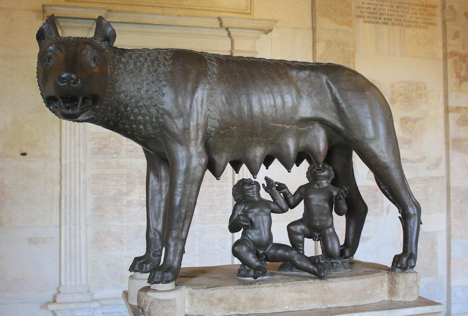 Gray wolf: Sacred symbol in Turkish and Roman mythology