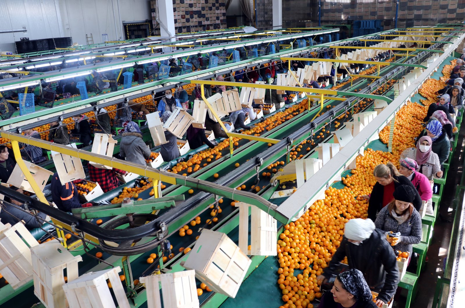 Türkiye holds the top position in Europe with an agricultural revenue of $68.5B