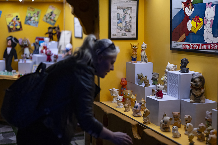 Discover Istanbul's 1st cat-themed museum on International Cat Day