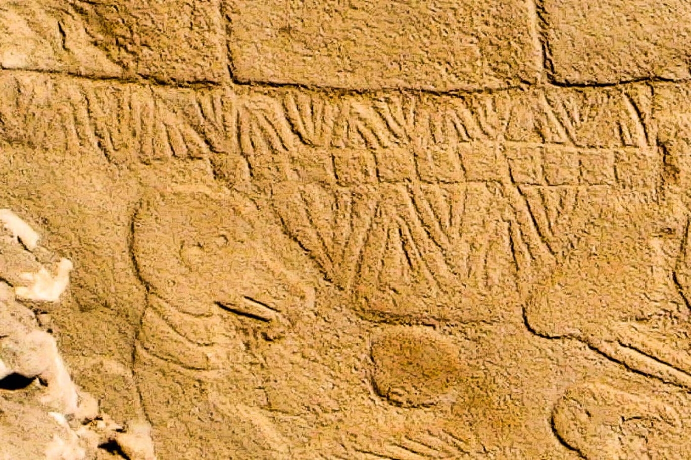 Obelisk 43 in Structure D has a large number of different depictions, including animals, geometric patterns and perhaps depictions of the monumental buildings themselves. It also bears a rare carving of a human being on an obelisk (bottom right). This human is a man (Phallus) and his head is separated from his body, Gobeklitepe, Sanliurfa, Türkiye (Photo via German Archaeological Institute (DAI), Gobeklitepe Archive)