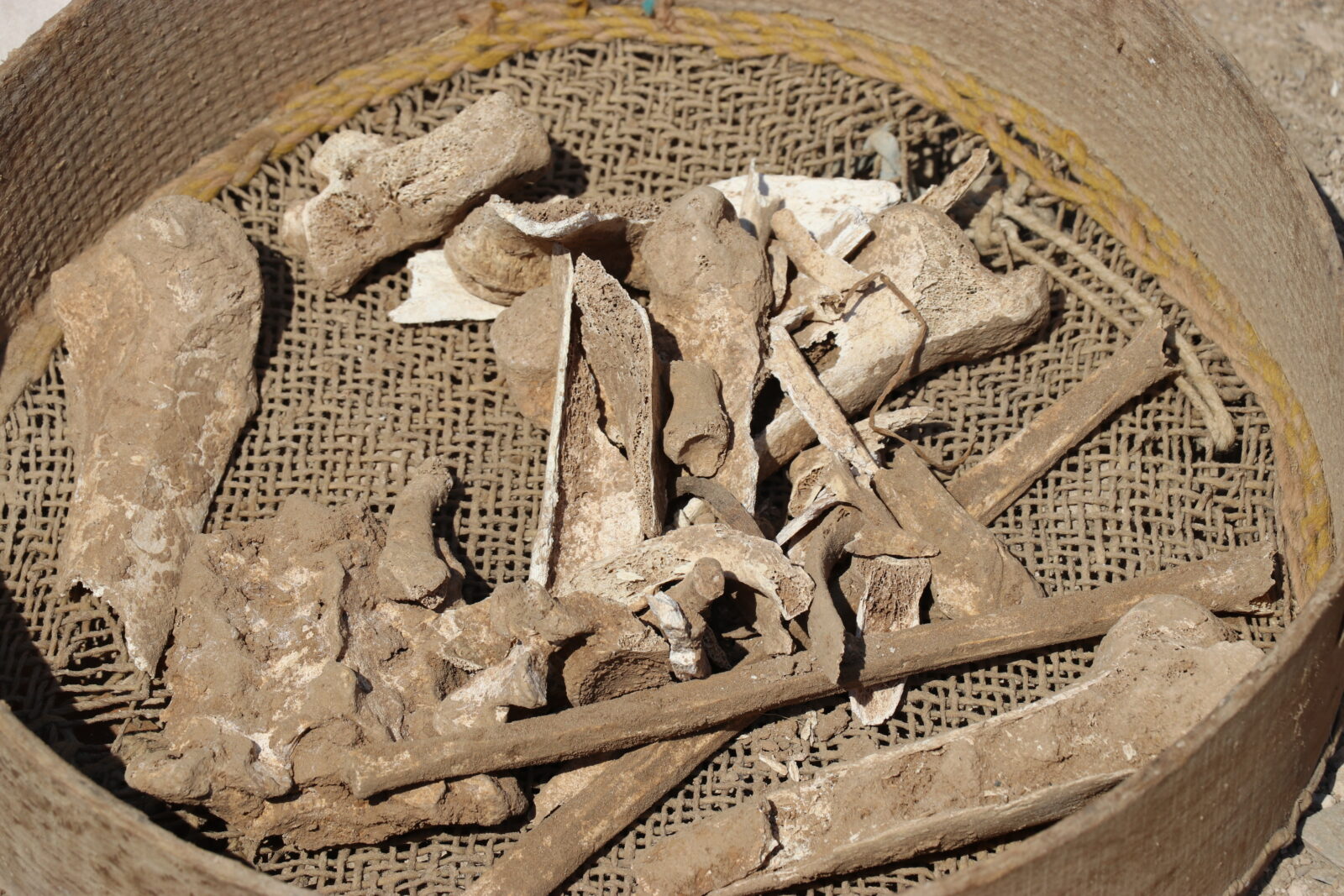 Human bones found in 3 Roman tombs during excavation of a construction site in Amasya, Türkiye, August 7, 2024 (AA Photo)