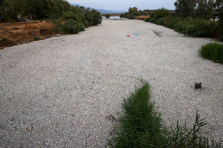 Yunanistan'in orta kesiminde bulunan Volos kentinde 27 Agustos'ta binlerce ölü baligin deniz yüzeyini kaplamasinin ardindan çevreye yayilan yogun ve rahatsiz edici koku, hem bölge sakinlerini hem de turizm sektörünü zor durumda birakti. ( Ayhan Mehmet - Anadolu Ajansi )
