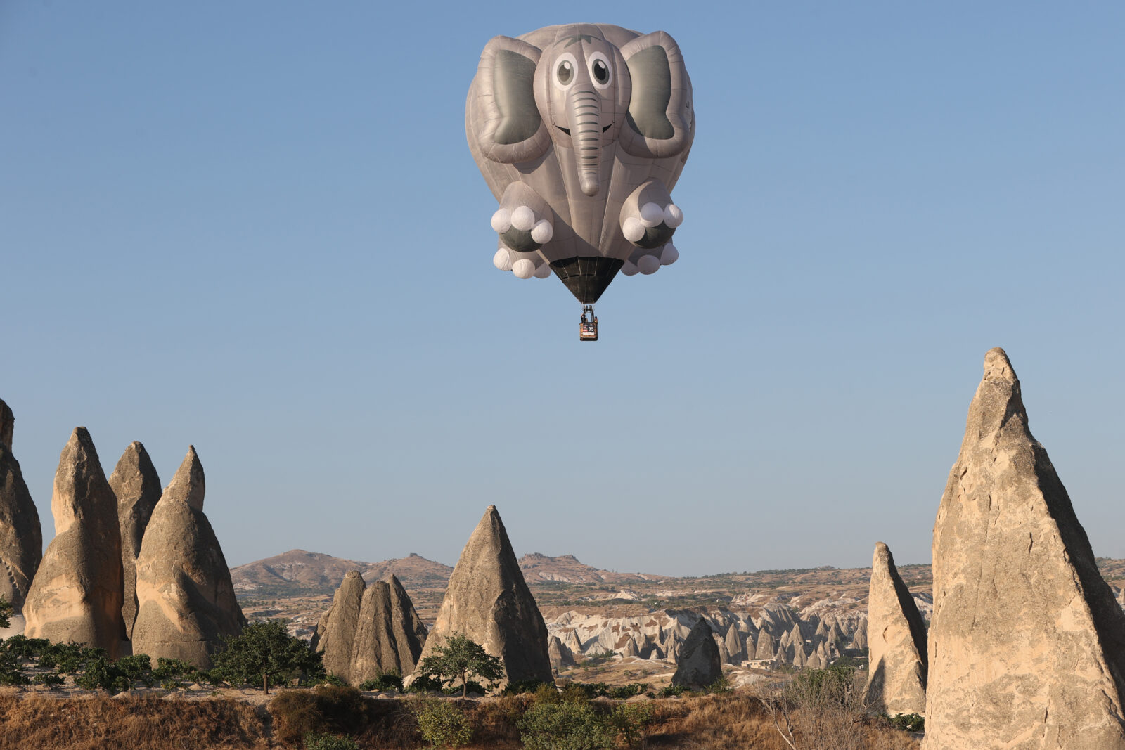 18 countries' shaped hot air balloons soar over Cappadocia, Turkiye