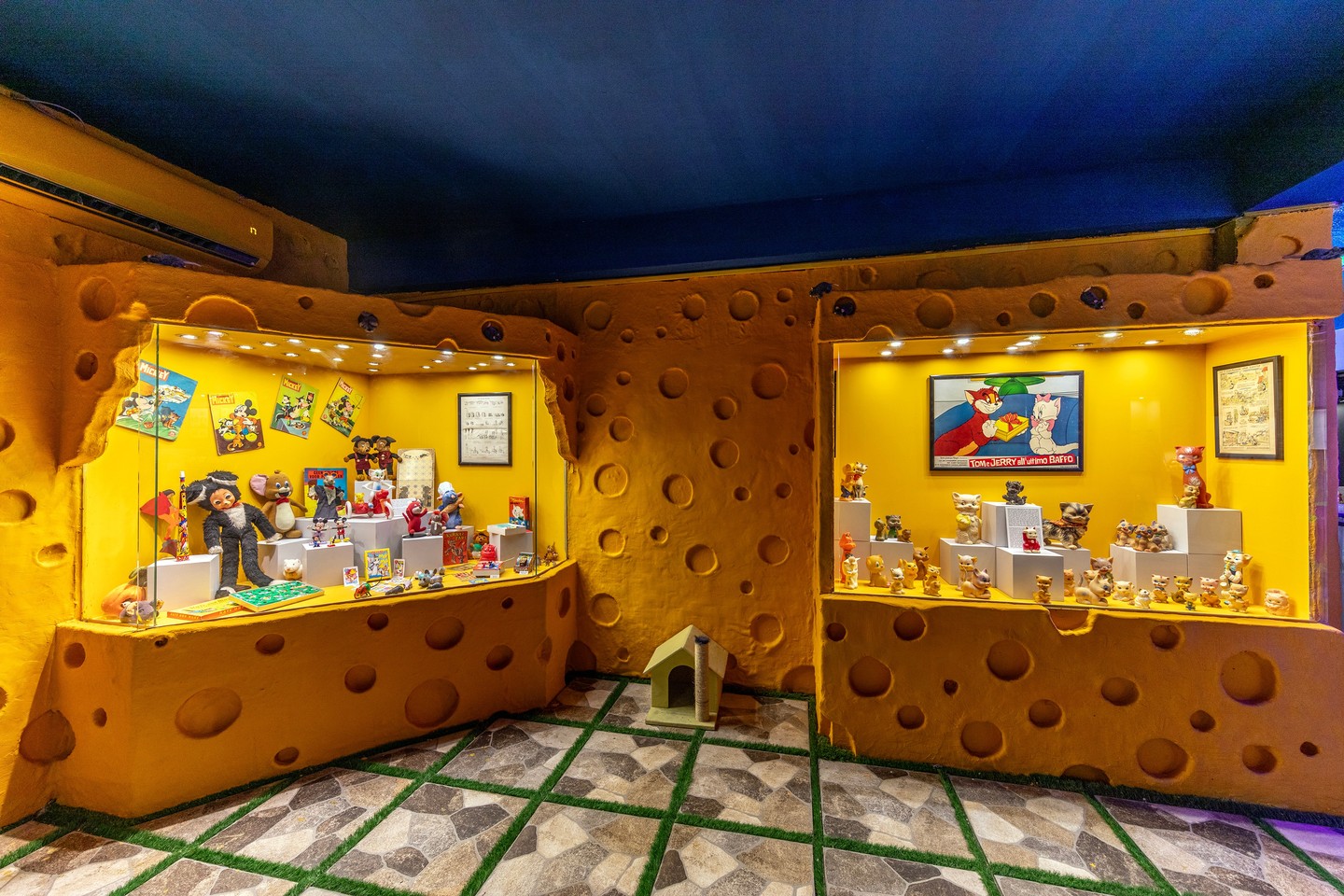Cat Museum, Besiktas, Istanbul, Türkiye October 4, 2023 (AA Photo)