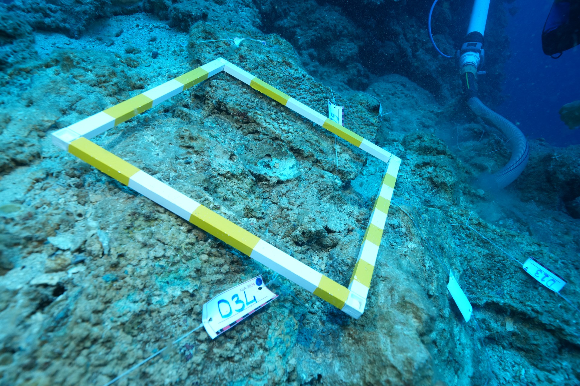 Kumluca Middle Bronze Age shipwreck, Antalya, Türkiye, August 1, 2024 (AA Photo)