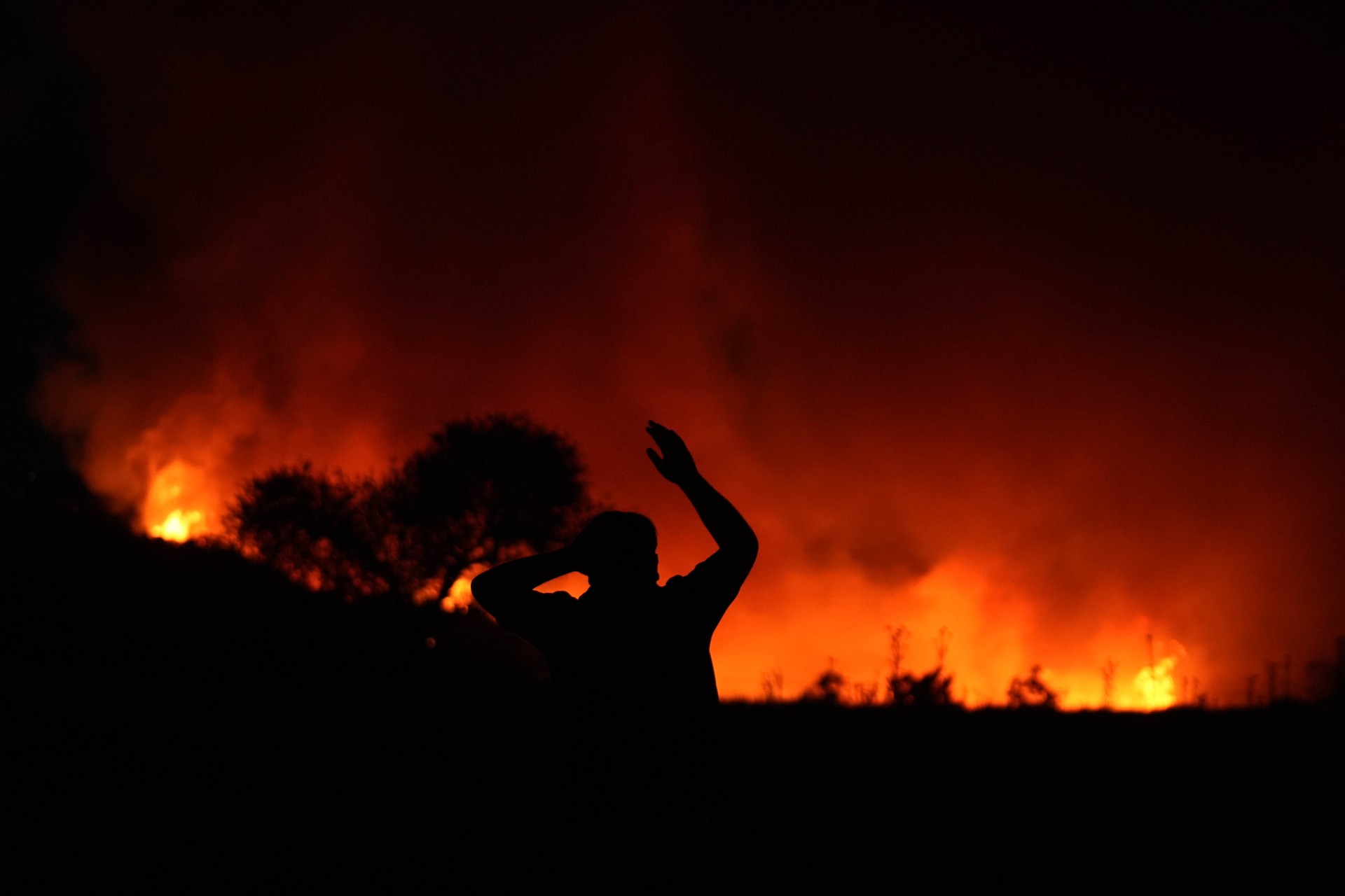 69 out of 72 wildfires in Türkiye under control, Izmir residential areas safe