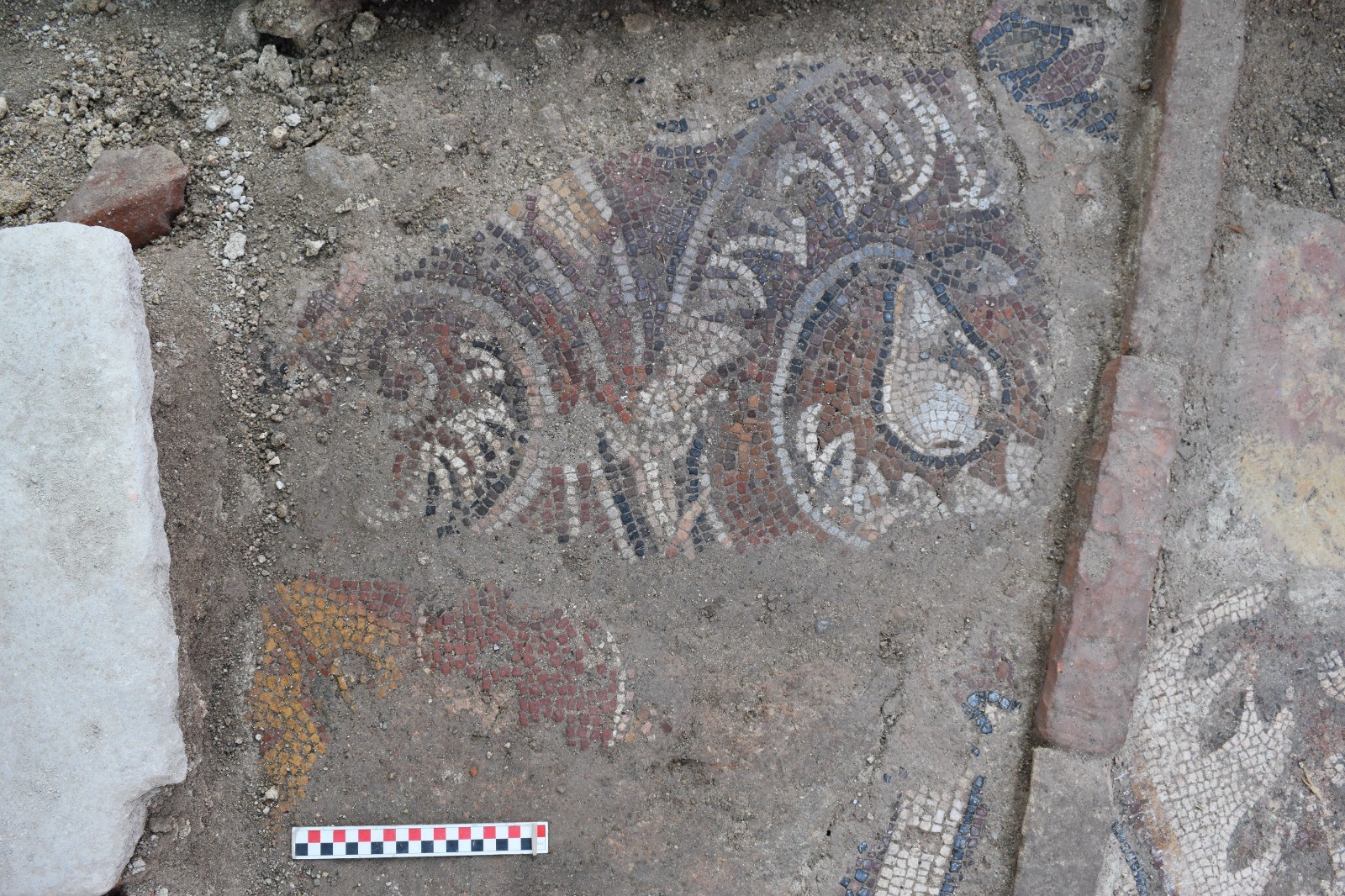 In situ floor mosaic at Monastery of Saints Constantine and Helana in Ordu, Türkiye, August 11, 2024 (IHA Photo)
