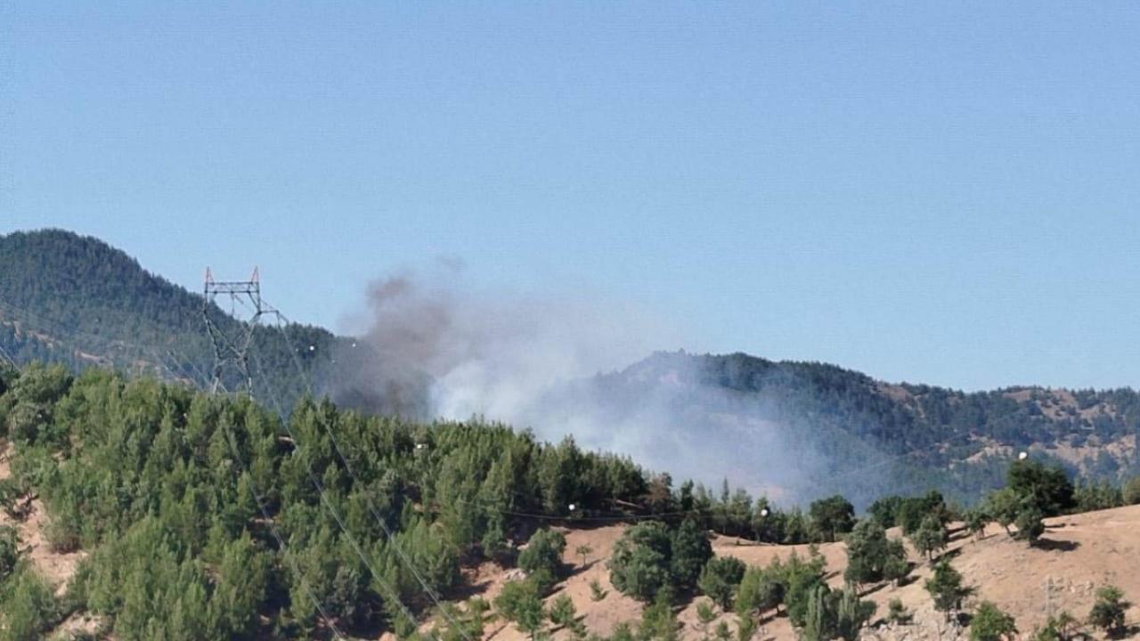 Forest fire in Adana, Türkiye on 2 Aug. 2024 (Photo via TRT) 