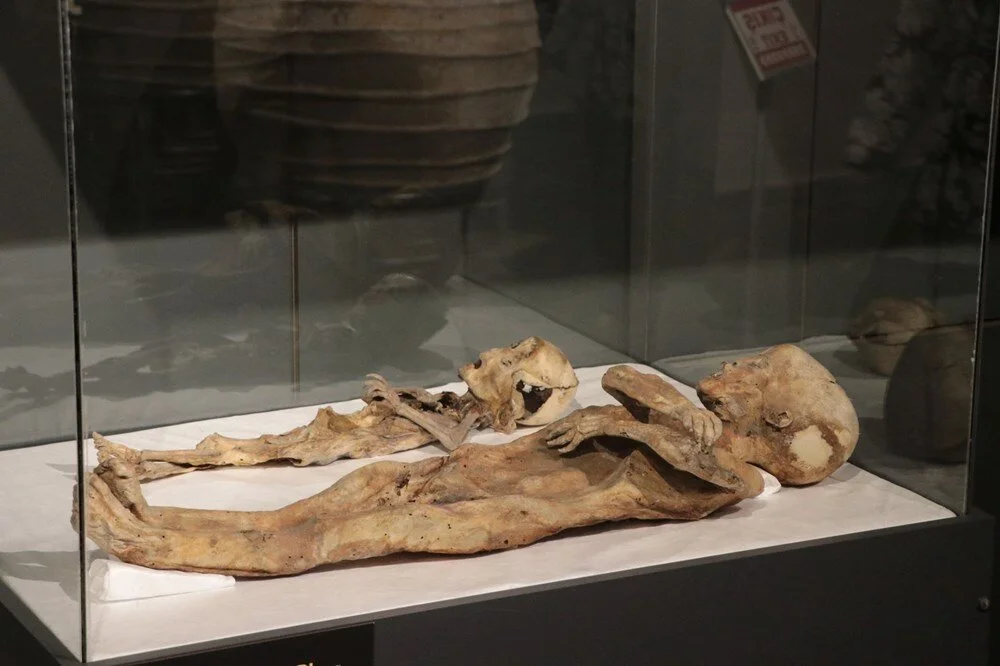 Ancient Anatolia's mummies: 97 years later, clues reveal strangulation, Christian beliefs