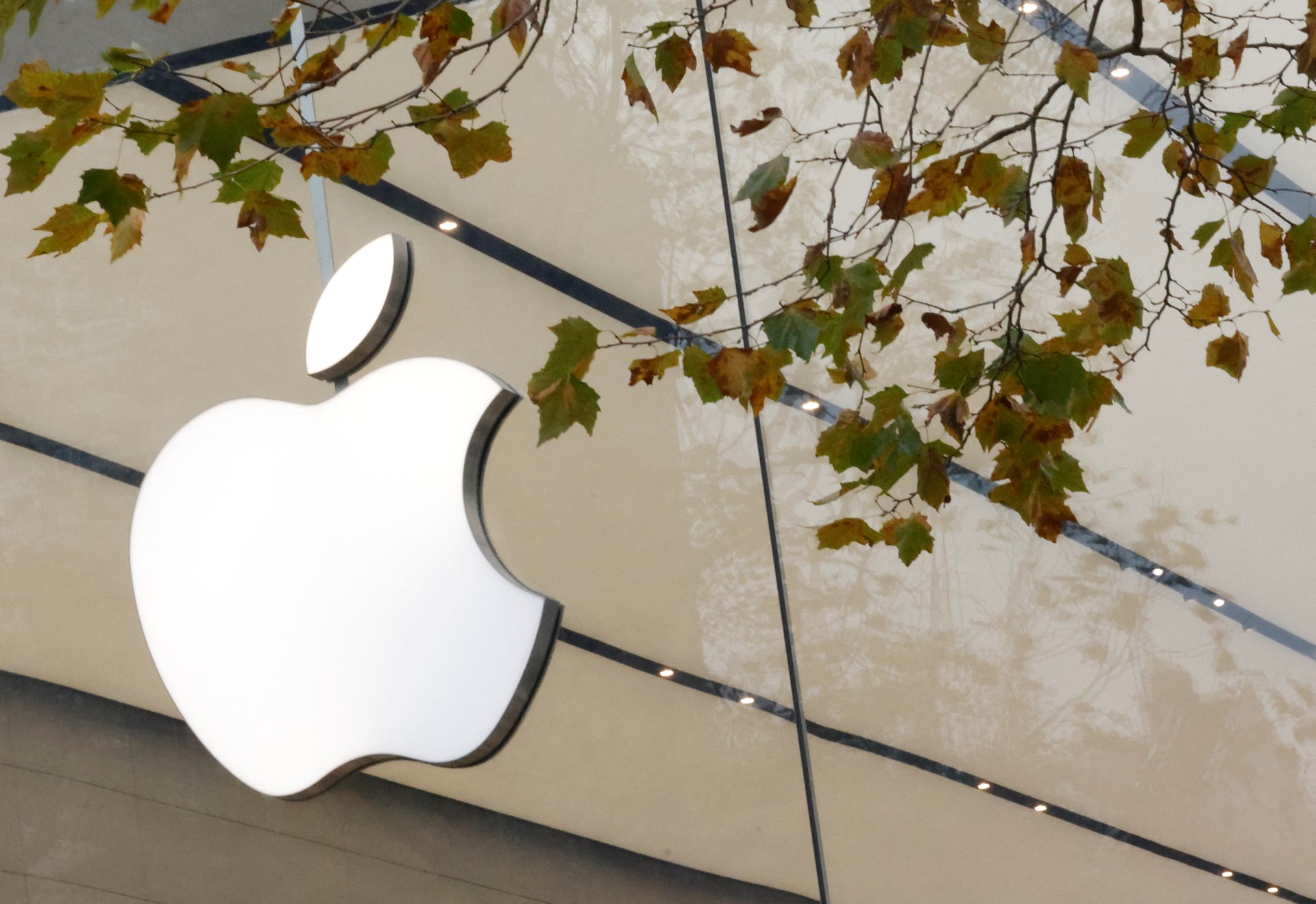 Tech giants in freefall: NVIDIA, Google, Apple plunge 11%