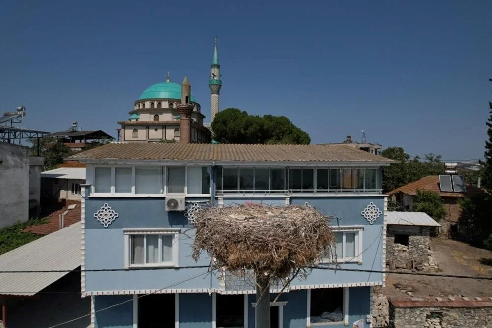 13 years of loyalty: Yaren stork bids farewell to Bursa fisherman