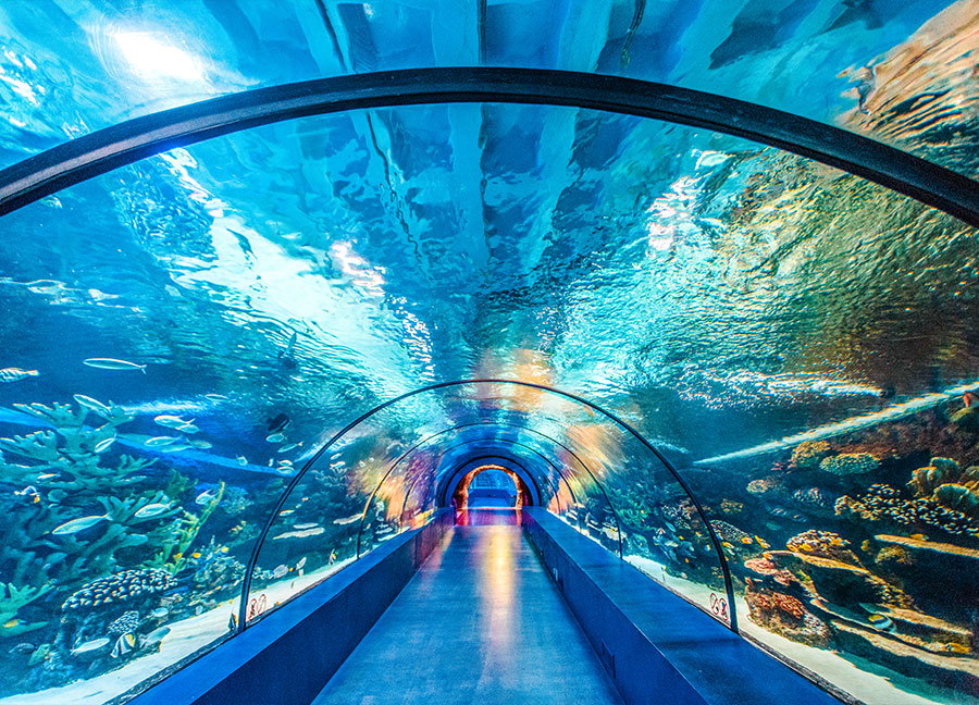 Antalya Aquarium and Discovery World: Science and Entertainment Experiences in Antalya, Türkiye, August 12, 2024. (Photo courtesy of antalya.com.tr)