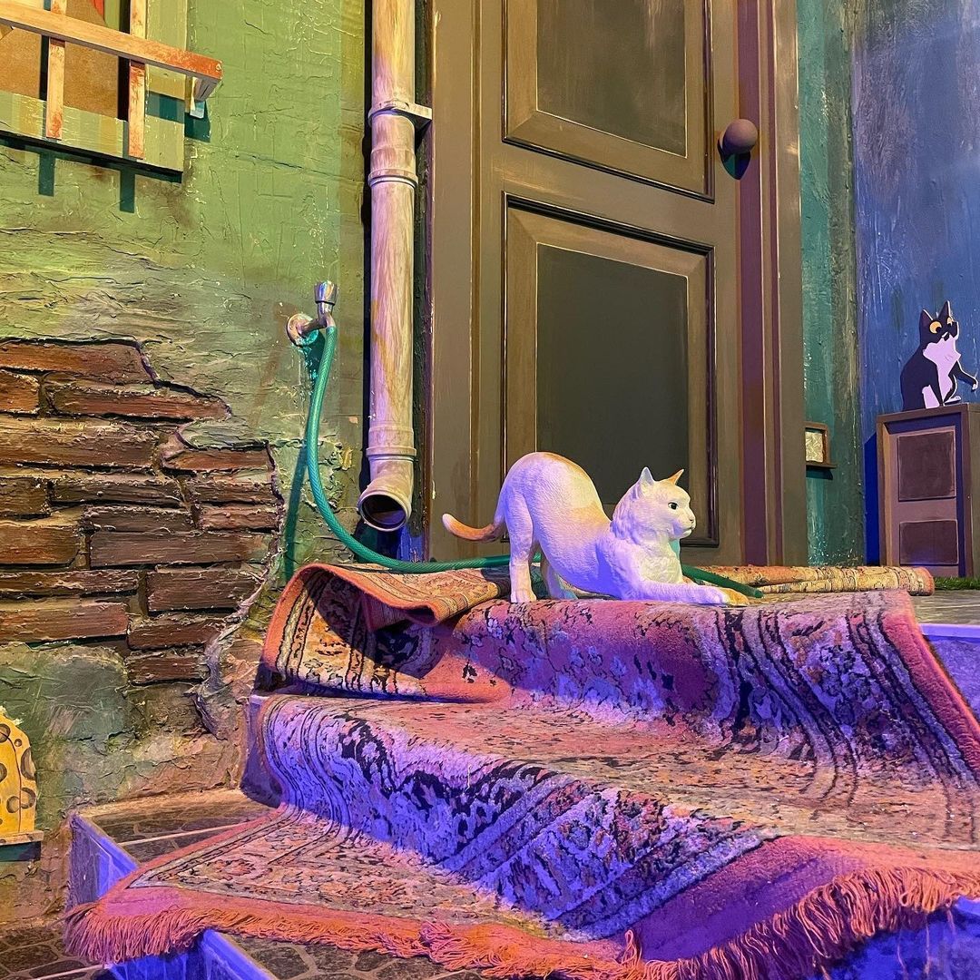 Cat Museum, Besiktas, Istanbul, Türkiye October 4, 2023 (Unkown Source)
