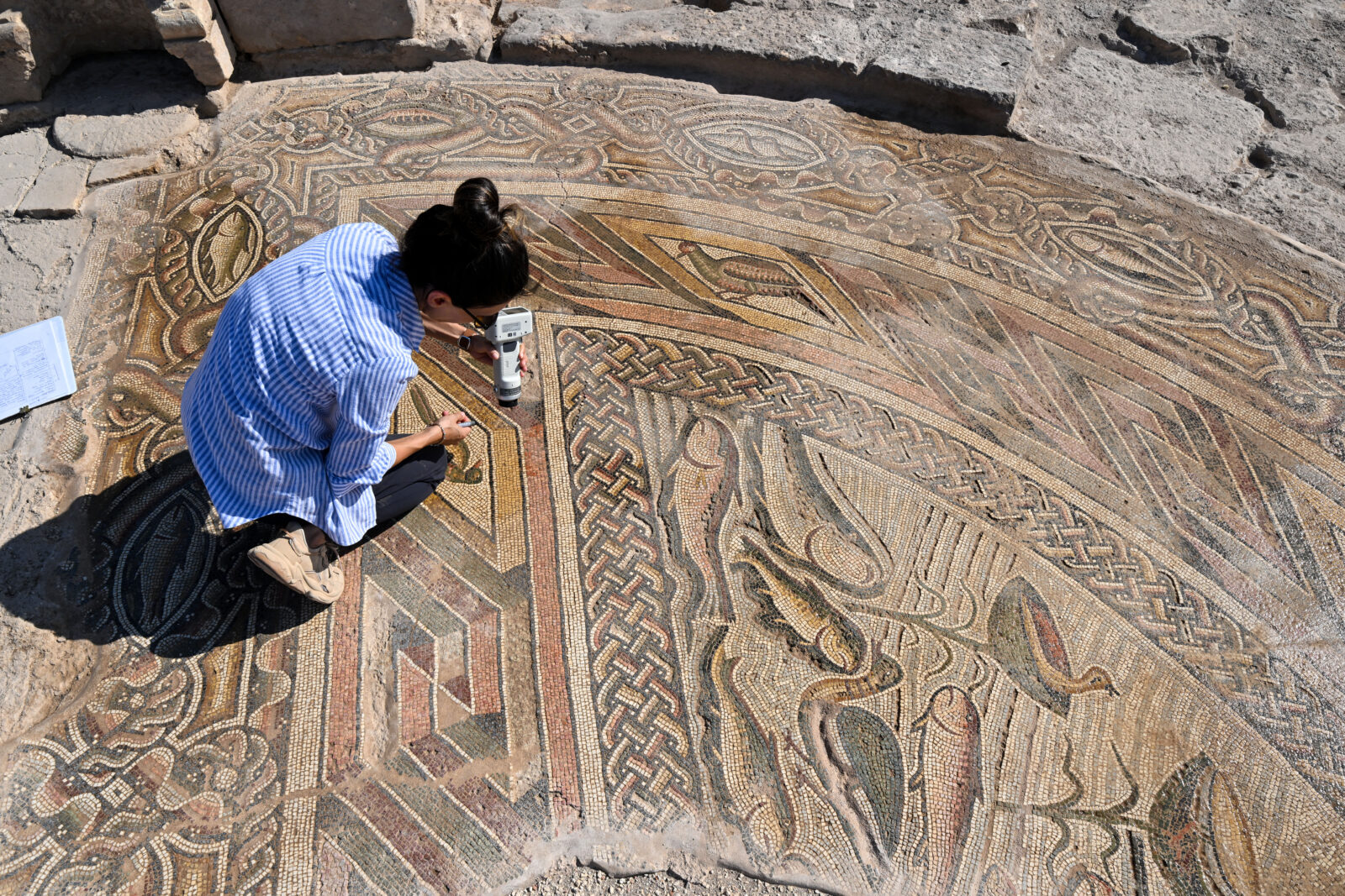Restoration work has been completed on the 1600-year-old mosaics in the church in the ancient city of Doliche in Gaziantep, one of the oldest settlements in human history and home to different religions, Türkiye, Sept. 8, 2024. (AA Photo)