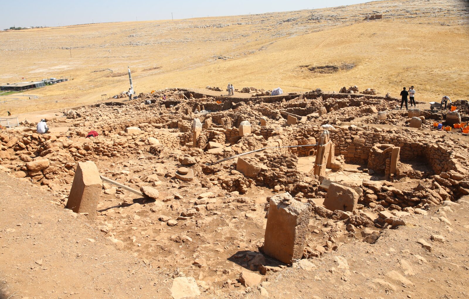 A general view of 250 